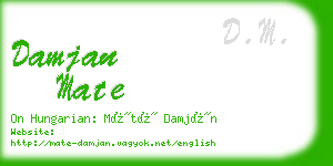 damjan mate business card